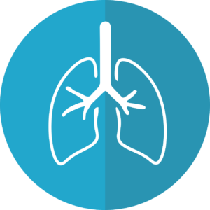 bronchitis vs pneumonia lungs icon