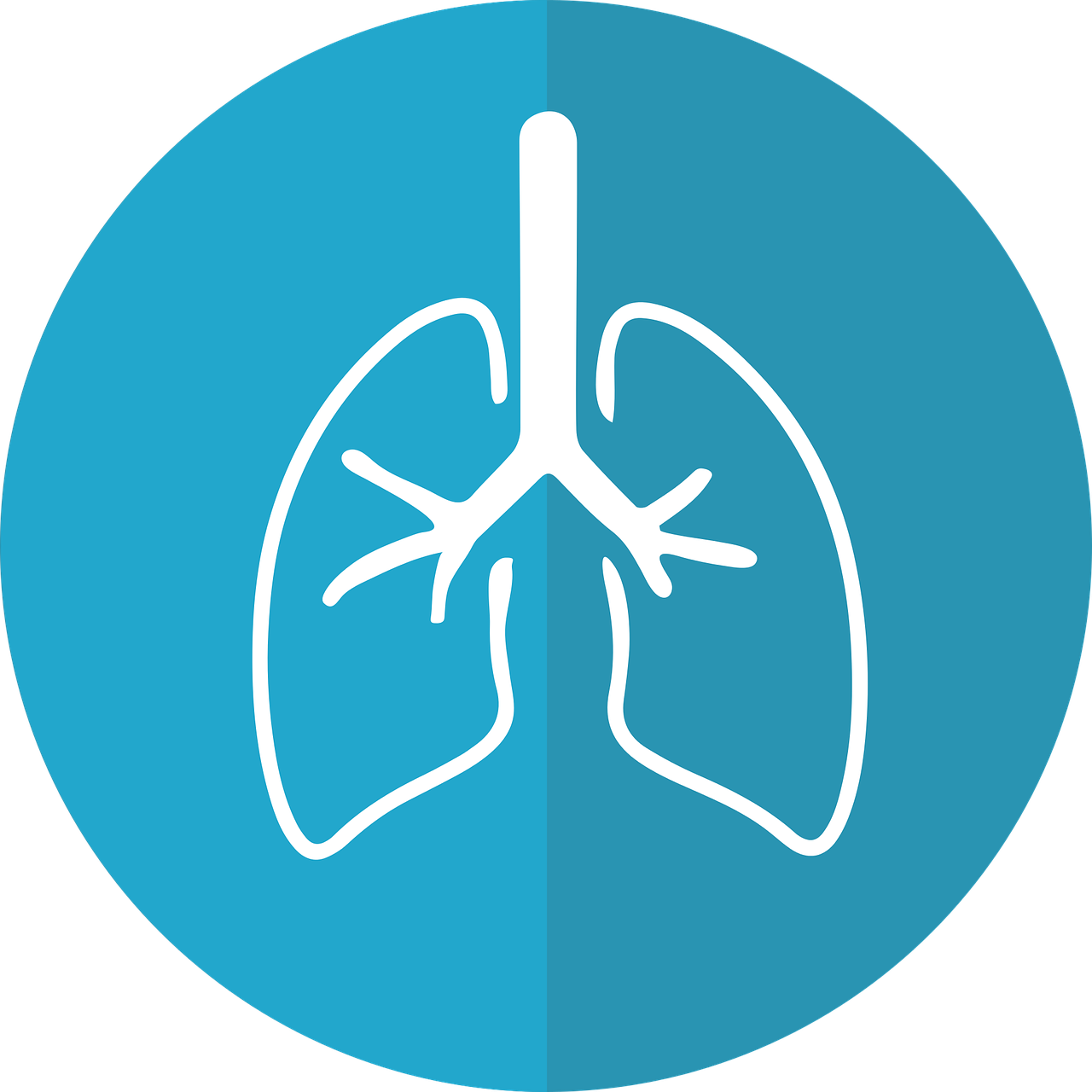 Bronchitis Vs Pneumonia Common Signs Of Each And What To Do To Feel